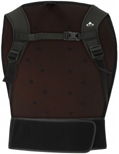 Iguchi Back Protector