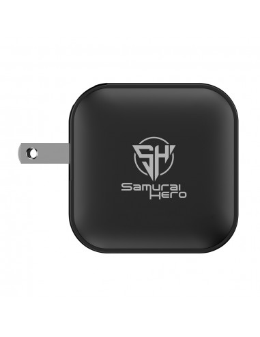 Urban Vitamin Santa Cruz RCS rplastc 70W GAN oplader